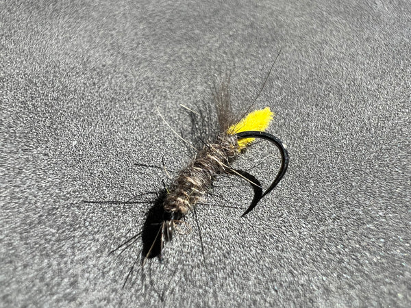 Rivulet Fly Fishing- Peeping Stick Caddis