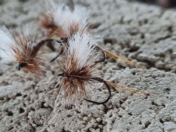 Rivulet Fly Fishing- Adams Dry Fly