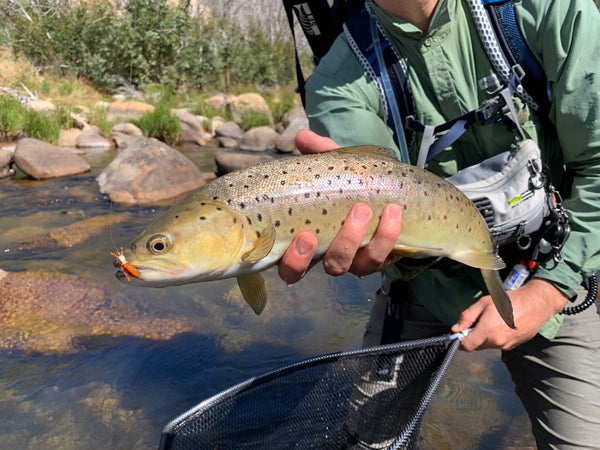 Rivulet Fly Fishing- Foam Possum Hopper