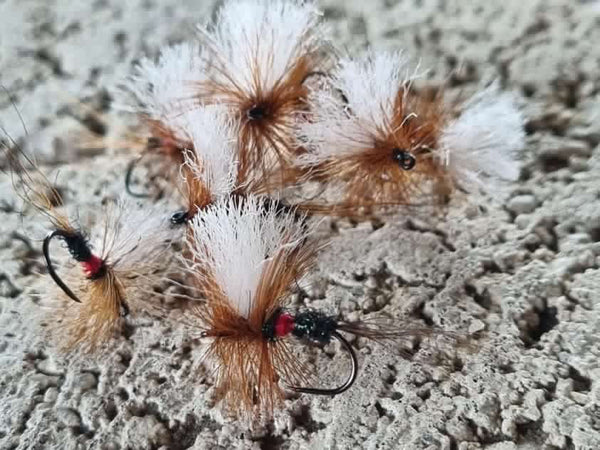 Rivulet Fly Fishing- Royal Wulff