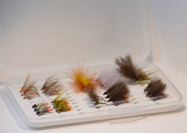 Champion Flies Dry/Wet Box