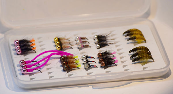 Champion Flies Nymph Box