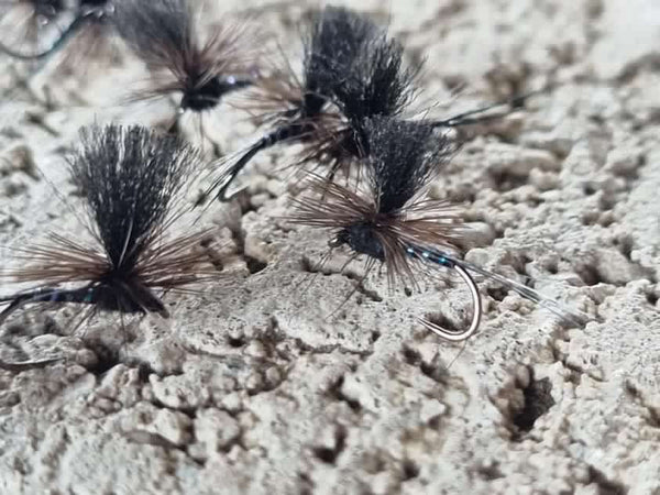 Rivulet Fly Fishing- Para Emerger