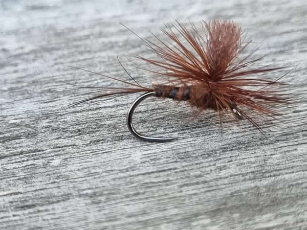 Rivulet Fly Fishing- Para Emerger