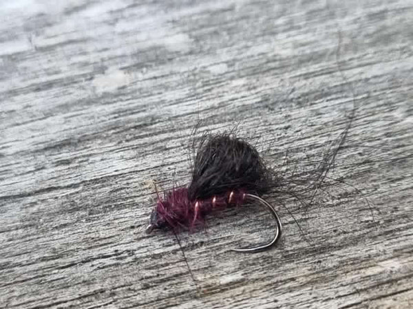 Rivulet Fly Fishing- Possum Emerger