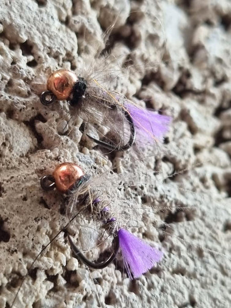 Rivulet Fly Fishing- Purple Tag Nymph