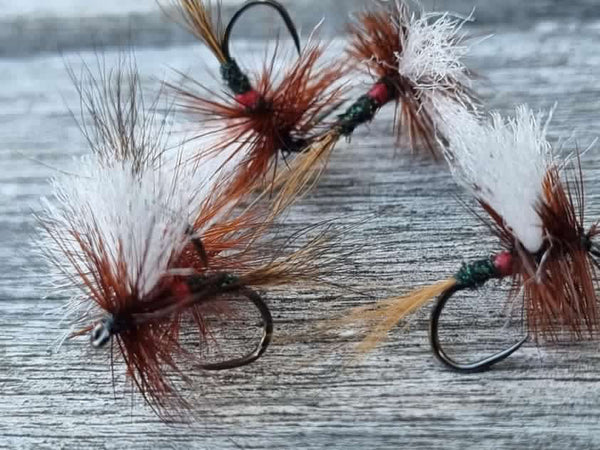 Rivulet Fly Fishing- Royal Wulff