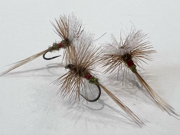 Rivulet Fly Fishing- Royal Wulff