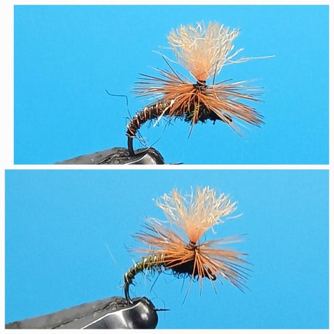 Riseley Trout Flies- Klinkhammer