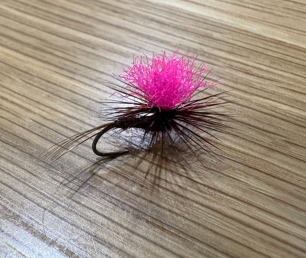 Rivulet Fly Fishing- Para