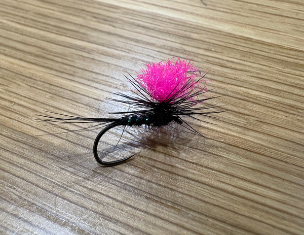 Rivulet Fly Fishing- Para