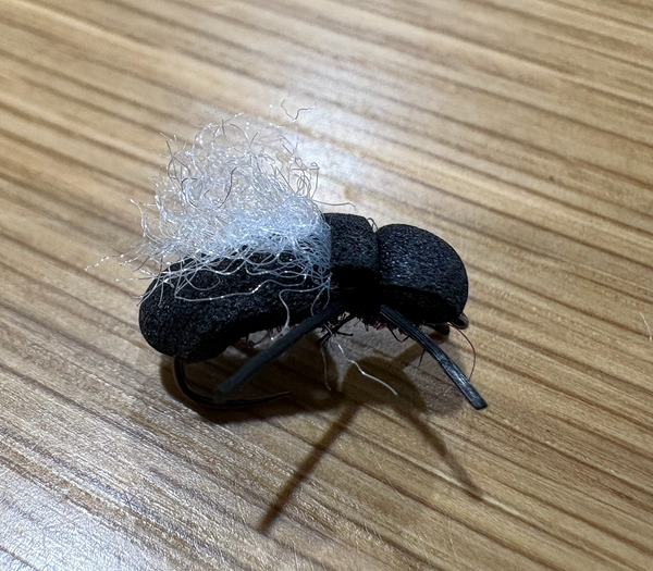 Rivulet Fly Fishing- Blowfly