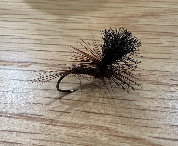 Rivulet Fly Fishing- Para