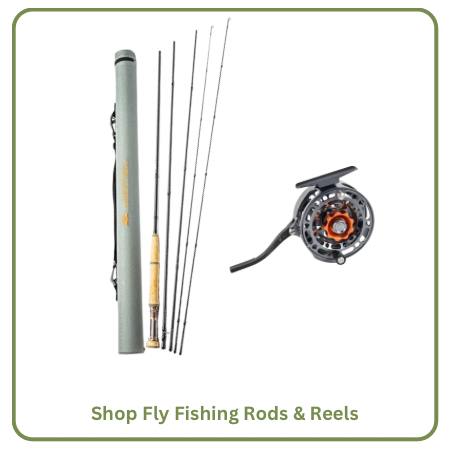 australian fly fishing rods Eden Advance North Queensland Australia Fly Fishing