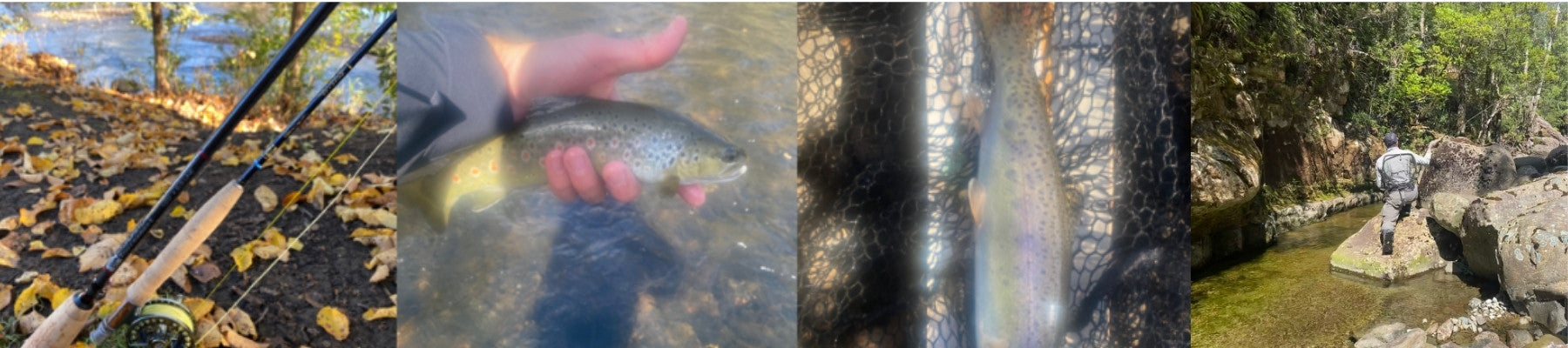 Fly Fishing Tackle Australia