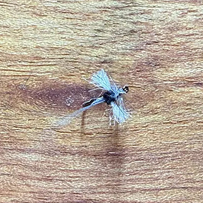 Riseley Trout Flies- Caenid