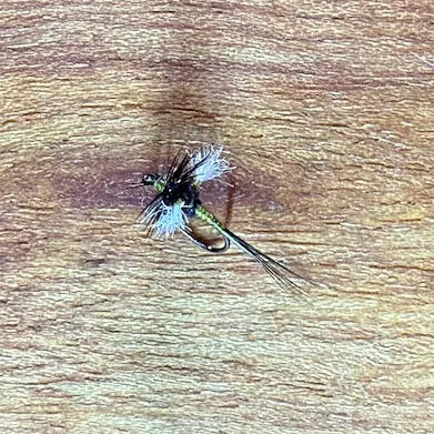 Riseley Trout Flies- Caenid