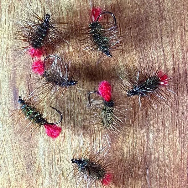 Riseley Trout Flies- Palmered Red Tag