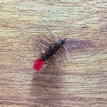 Riseley Trout Flies- Palmered Red Tag