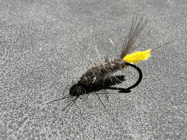Rivulet Fly Fishing- Peeping Stick Caddis