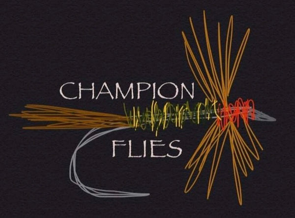 Champion Flies Dry/Wet Box