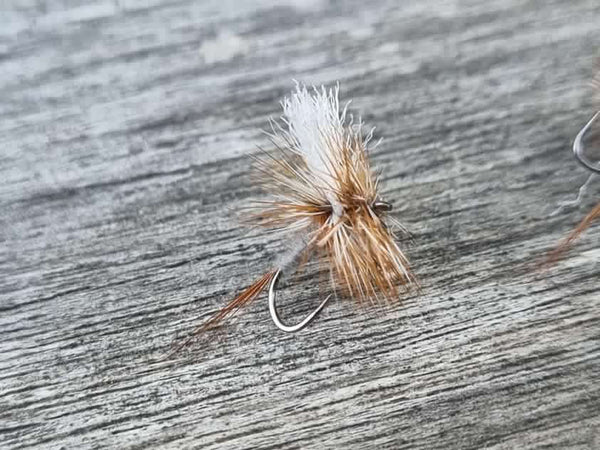 Rivulet Fly Fishing- Adams Dry Fly