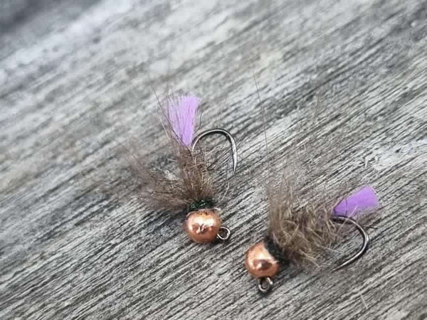 Rivulet Fly Fishing- Purple Tag Nymph